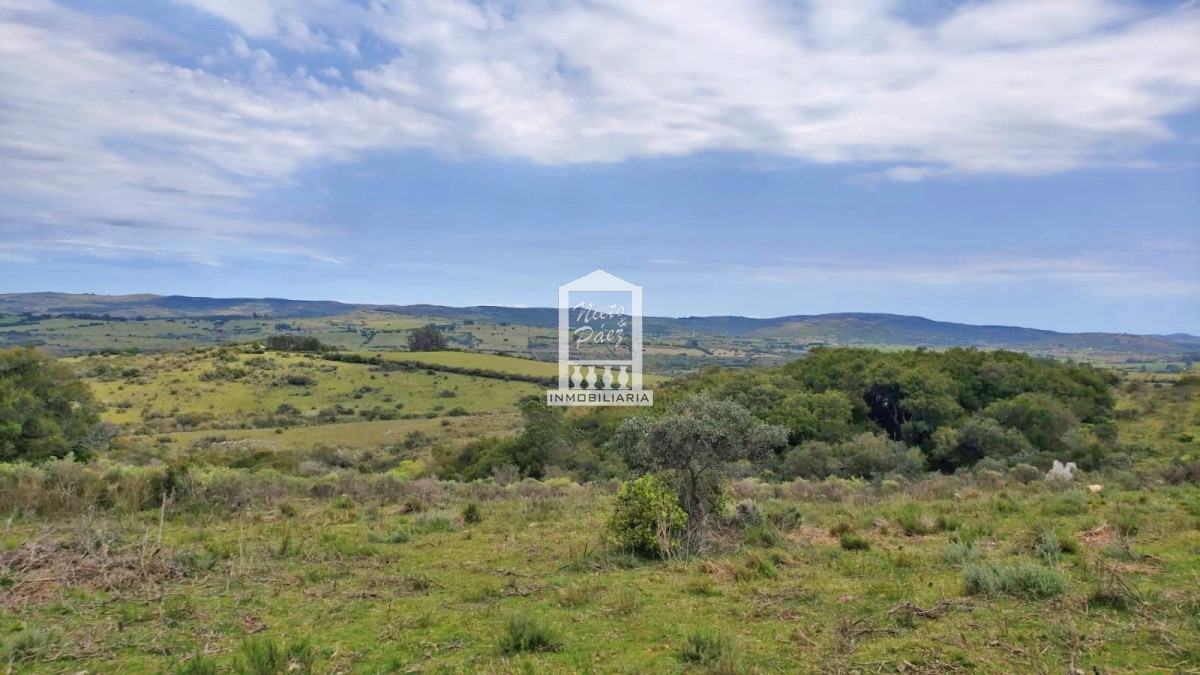 Sierra de los Caracoles - GoPunta - Portal Inmobiliario de Punta del Este - Maldonado