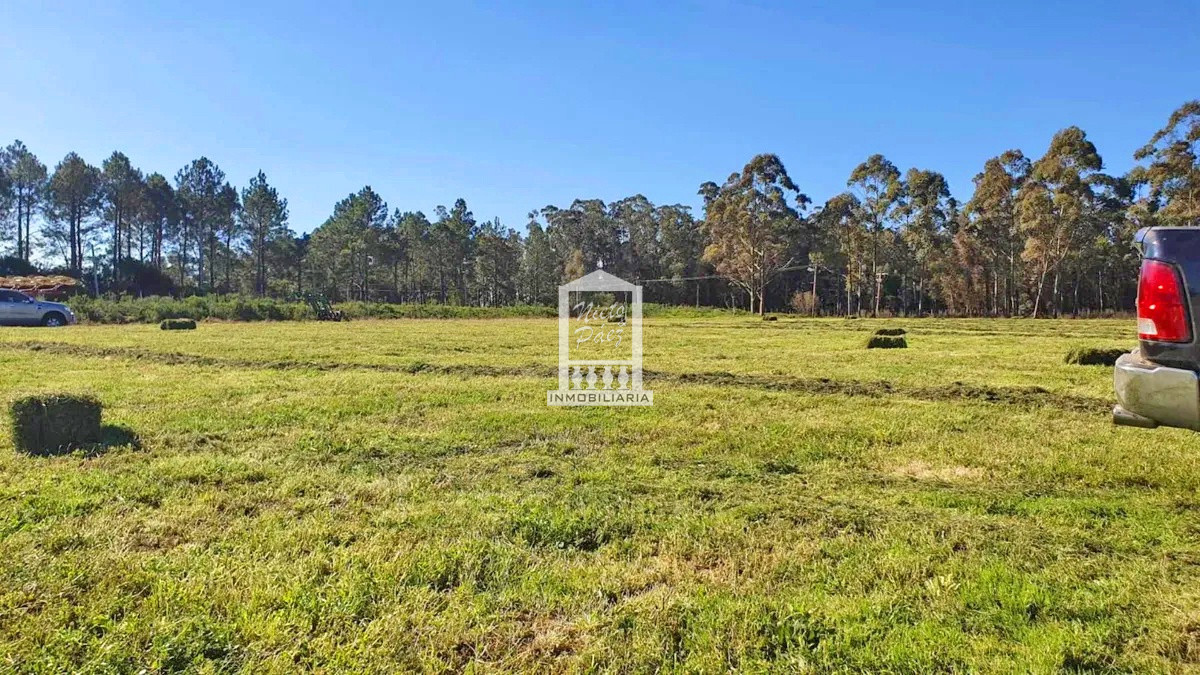 Camino Eguzquiza - GoPunta - Portal Inmobiliario de Punta del Este - Maldonado
