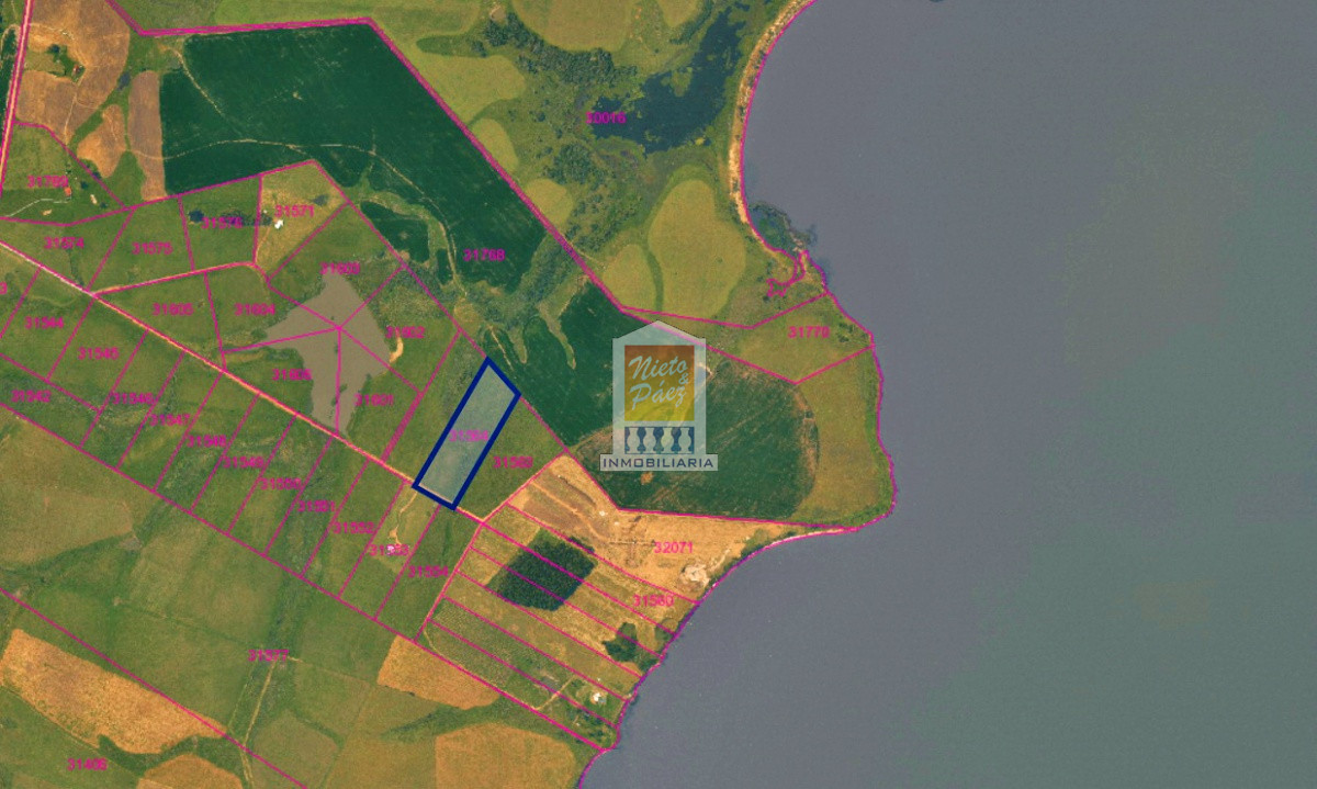 Laguna del Sauce - GoPunta - Portal Inmobiliario de Punta del Este - Maldonado