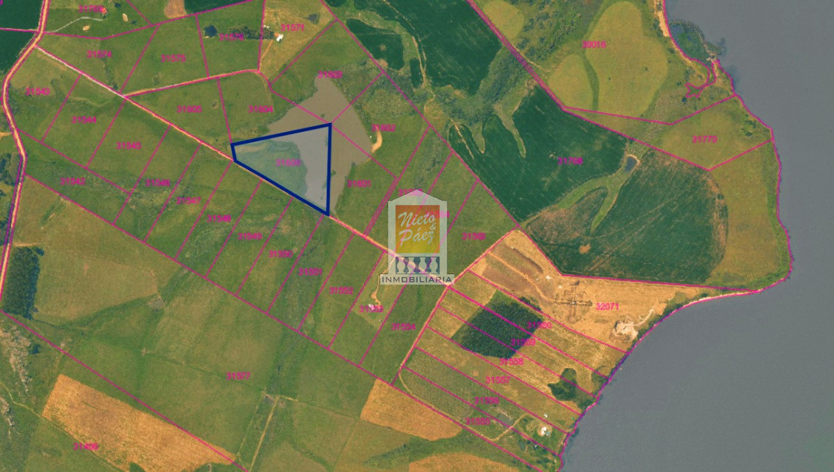 Laguna del Sauce - GoPunta - Portal Inmobiliario de Punta del Este - Maldonado