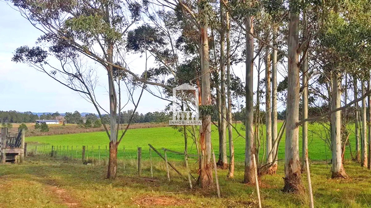 Camino Eguzquiza - GoPunta - Portal Inmobiliario de Punta del Este - Maldonado