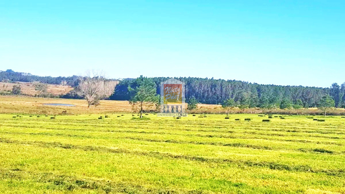 Camino Eguzquiza - GoPunta - Portal Inmobiliario de Punta del Este - Maldonado