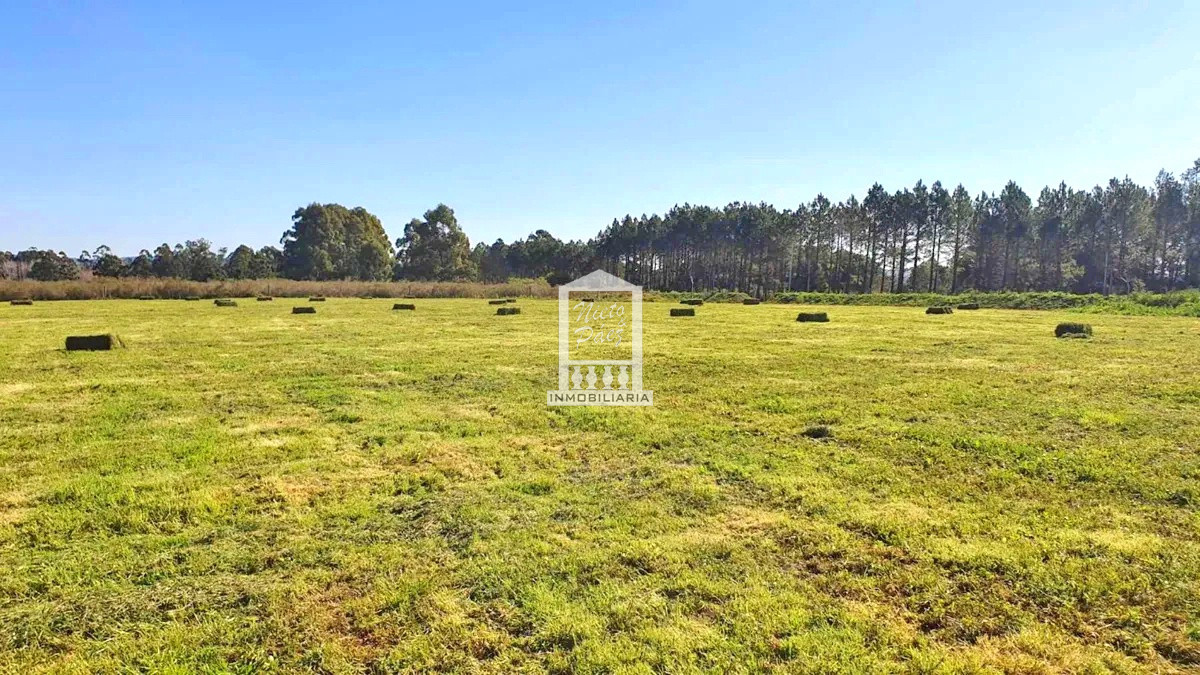 Camino Eguzquiza - GoPunta - Portal Inmobiliario de Punta del Este - Maldonado