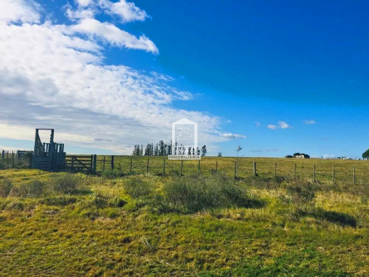 Sobre Ruta 39, a 8 km de San Carlos - GoPunta - Portal Inmobiliario de Punta del Este - Maldonado