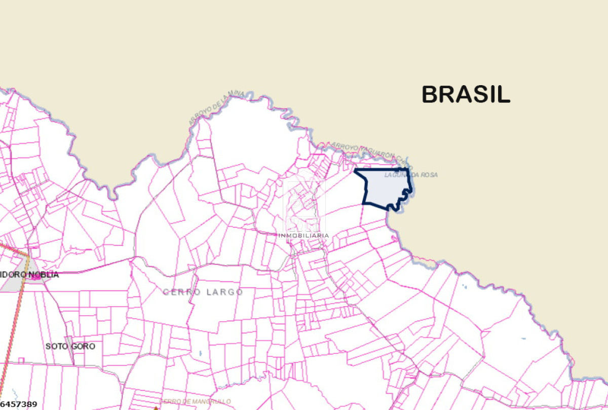Cerro Largo, 246 has con monte nativo, en la frontera con Brasil - GoPunta - Portal Inmobiliario de Punta del Este - Maldonado