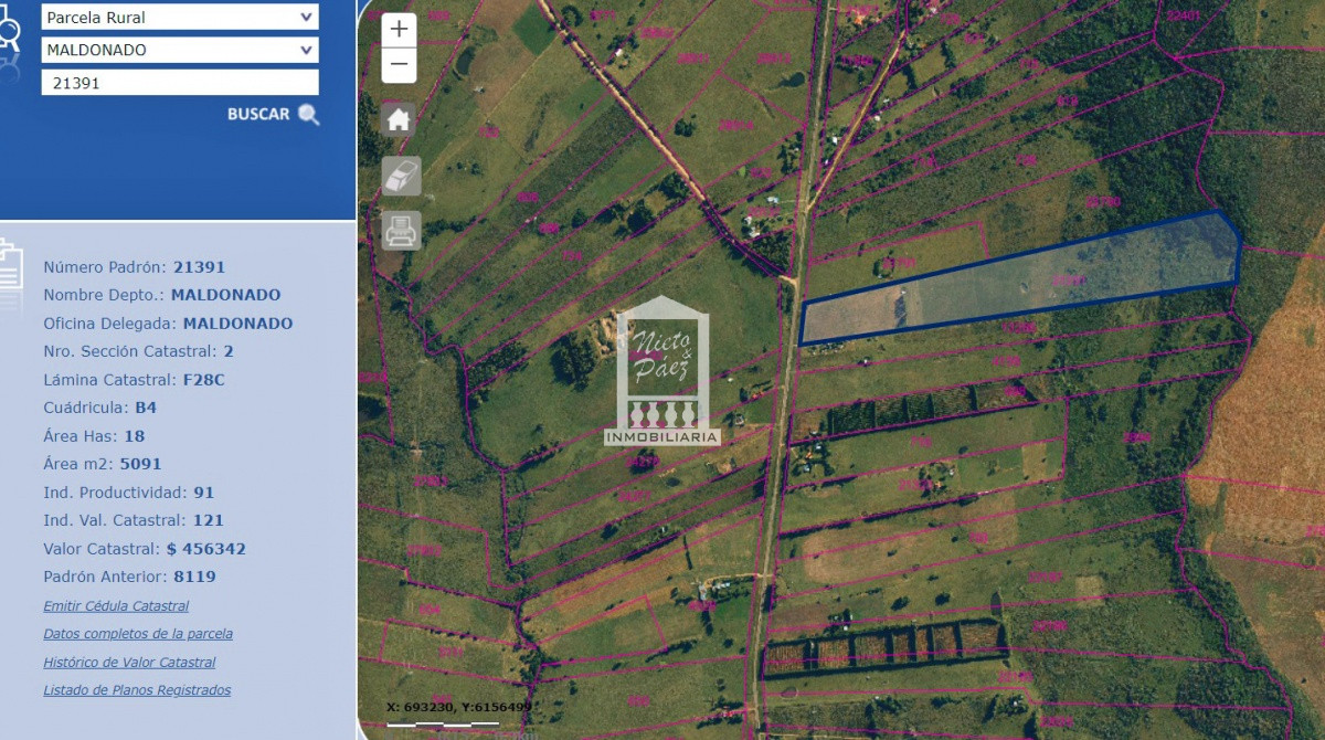 Sobre Ruta 39, a 8 km de San Carlos - GoPunta - Portal Inmobiliario de Punta del Este - Maldonado