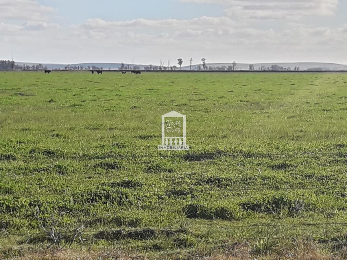 960 hectáreas - GoPunta - Portal Inmobiliario de Punta del Este - Maldonado