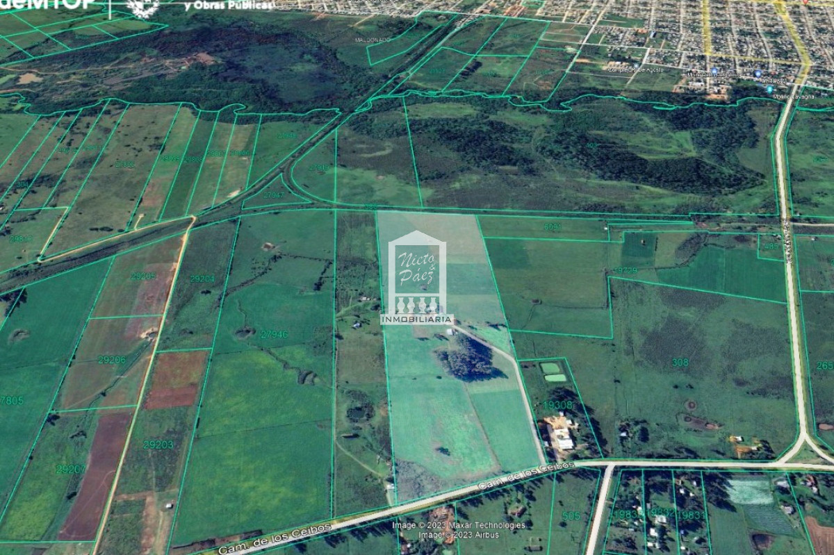 Camino de Los Ceibos, 26.3 Hectáreas, casa, piscina y casa de caseros - GoPunta - Portal Inmobiliario de Punta del Este - Maldonado
