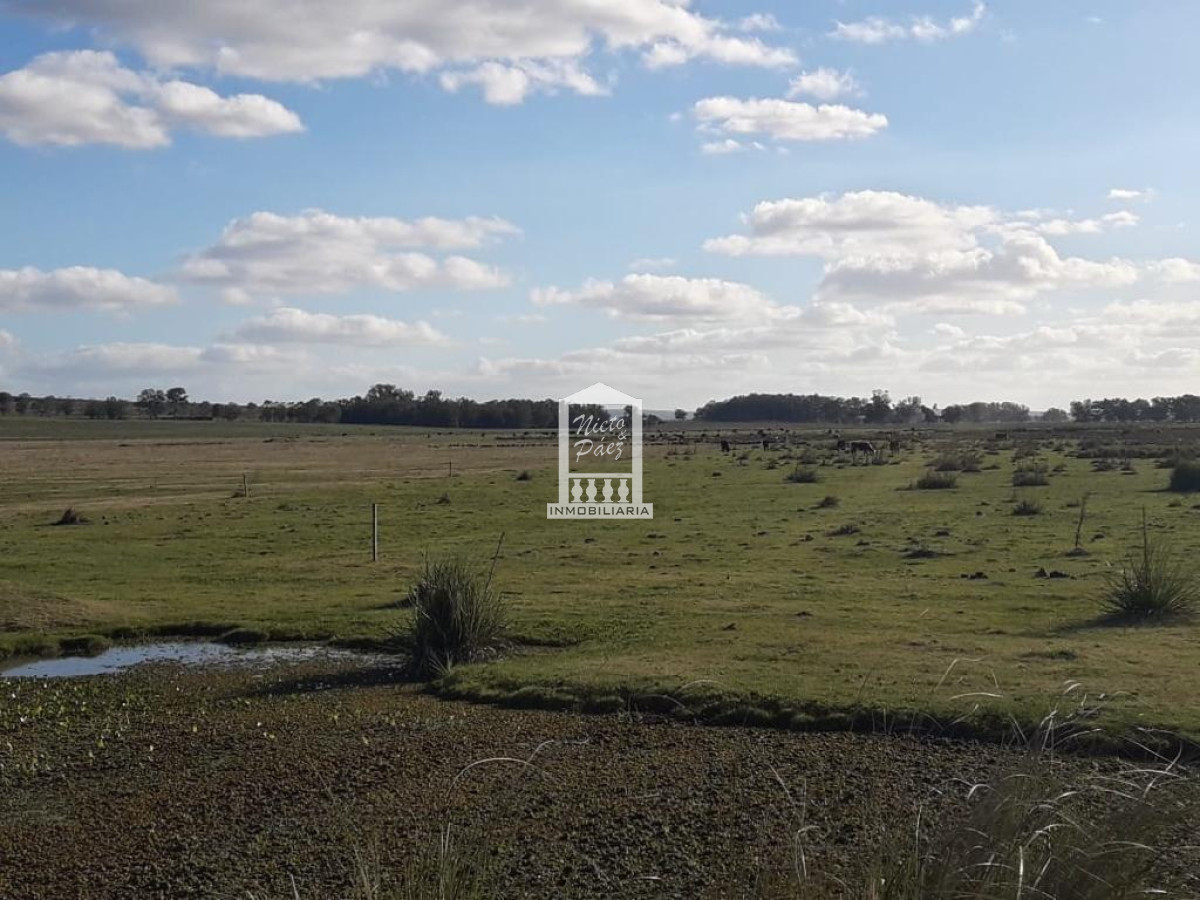 960 hectáreas - GoPunta - Portal Inmobiliario de Punta del Este - Maldonado