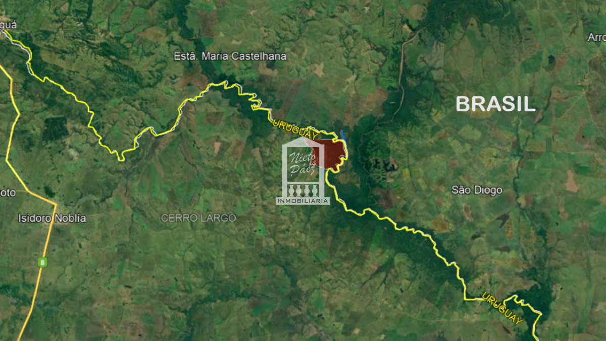 Cerro Largo, 246 has con monte nativo, en la frontera con Brasil - GoPunta - Portal Inmobiliario de Punta del Este - Maldonado