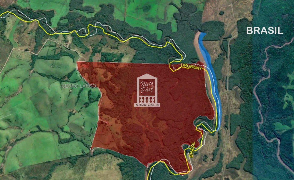 Cerro Largo, 246 has con monte nativo, en la frontera con Brasil - GoPunta - Portal Inmobiliario de Punta del Este - Maldonado