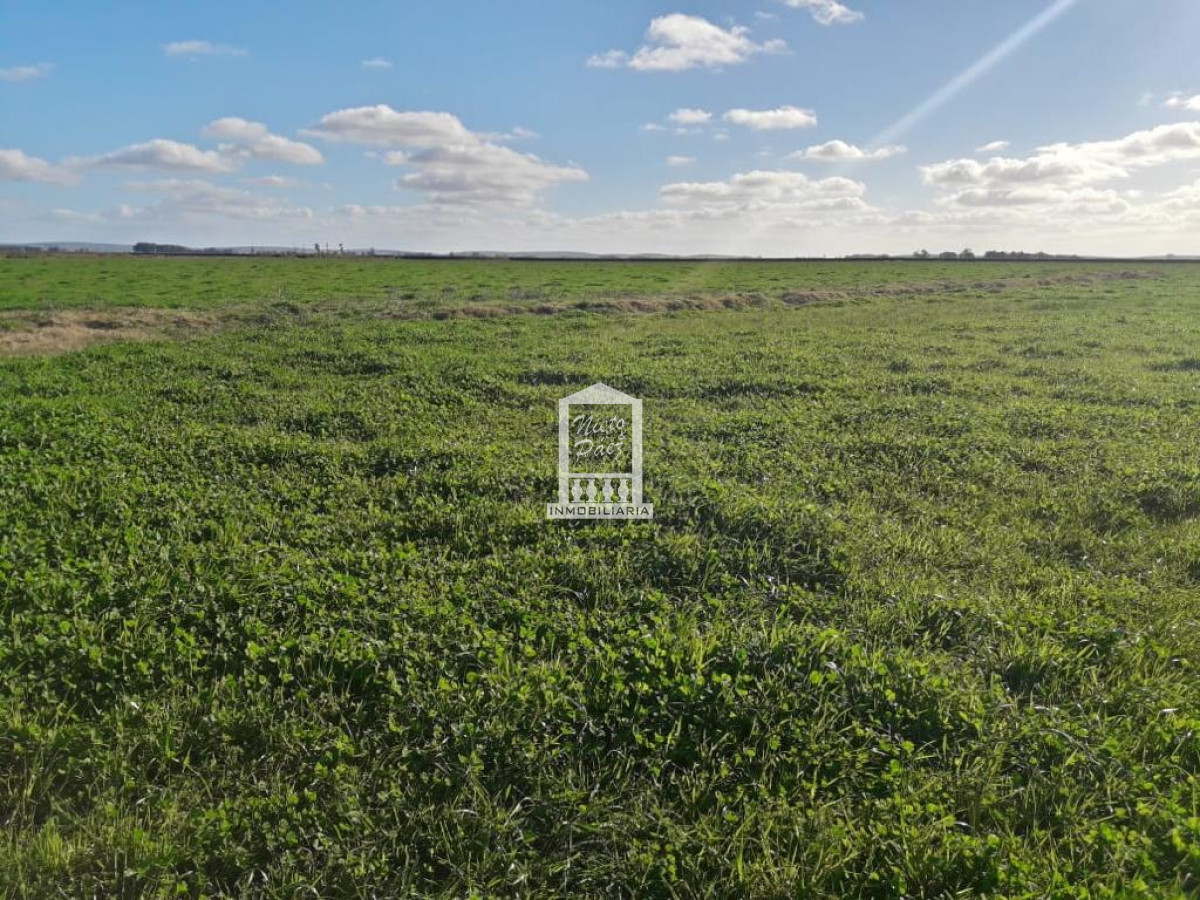 960 hectáreas - GoPunta - Portal Inmobiliario de Punta del Este - Maldonado