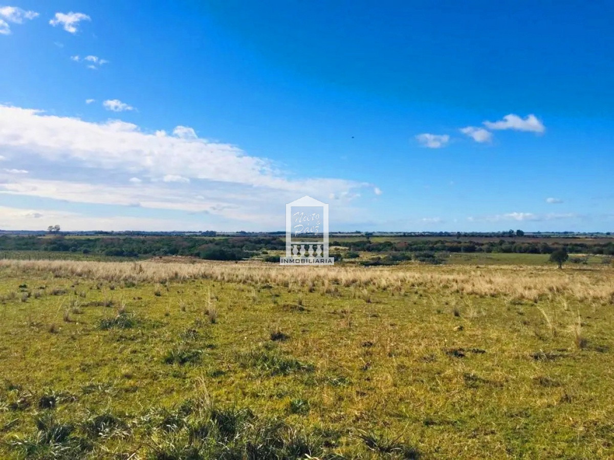 Sobre Ruta 39, a 8 km de San Carlos - GoPunta - Portal Inmobiliario de Punta del Este - Maldonado