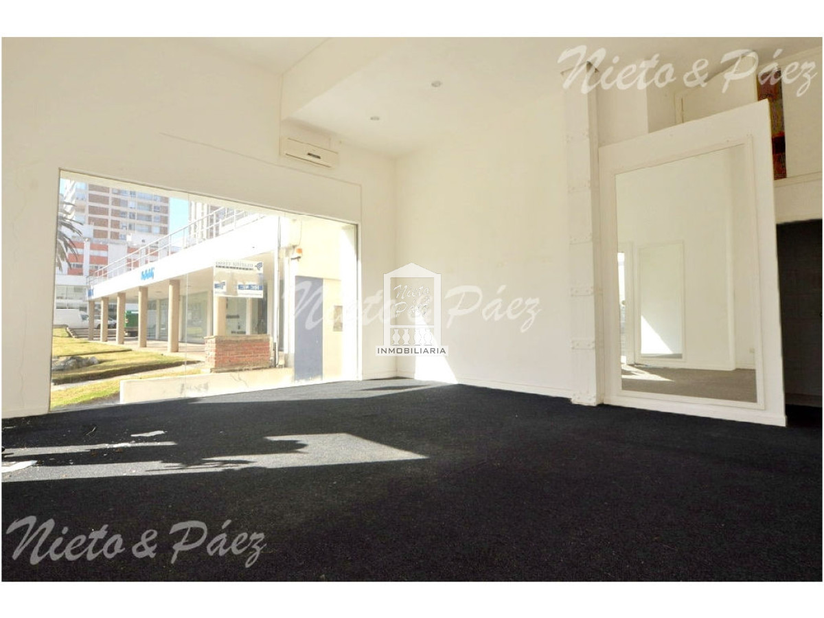 Peninsula - GoPunta - Portal Inmobiliario de Punta del Este - Maldonado