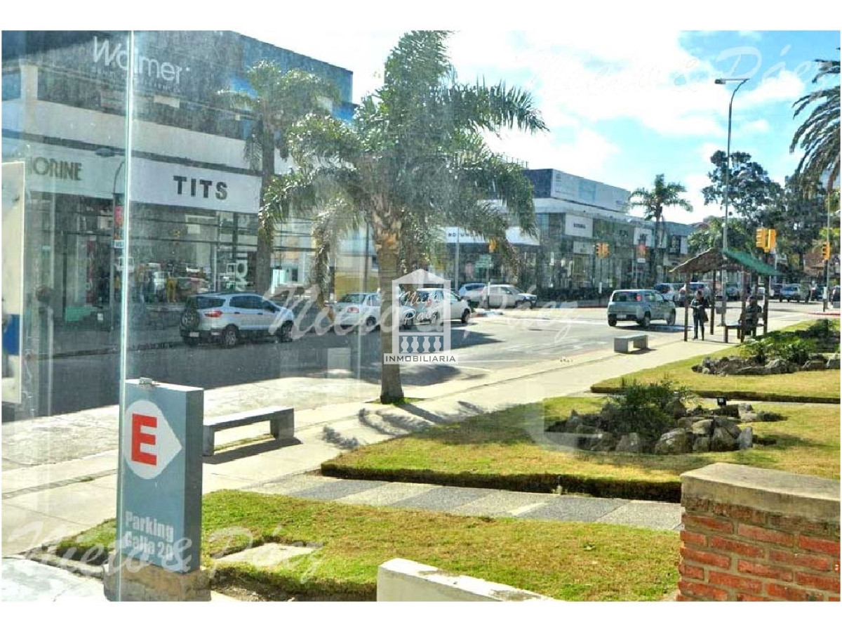 Peninsula - GoPunta - Portal Inmobiliario de Punta del Este - Maldonado