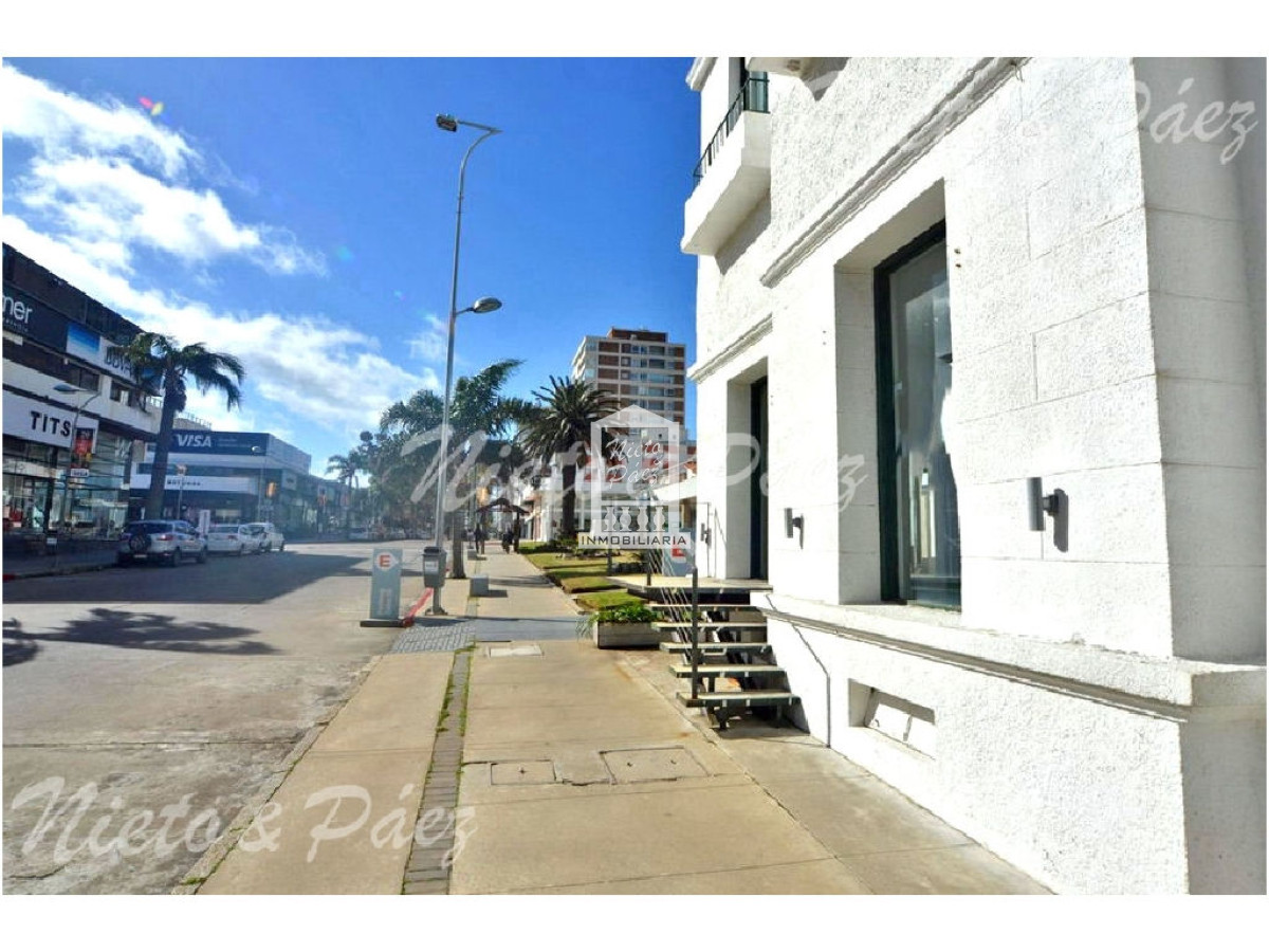 Peninsula - GoPunta - Portal Inmobiliario de Punta del Este - Maldonado