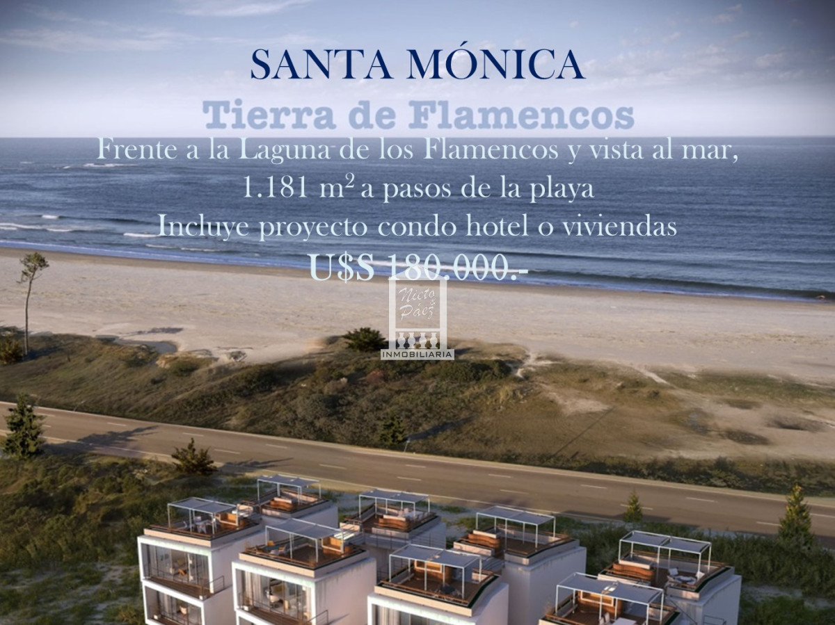 Santa Monica - GoPunta - Portal Inmobiliario de Punta del Este - Maldonado