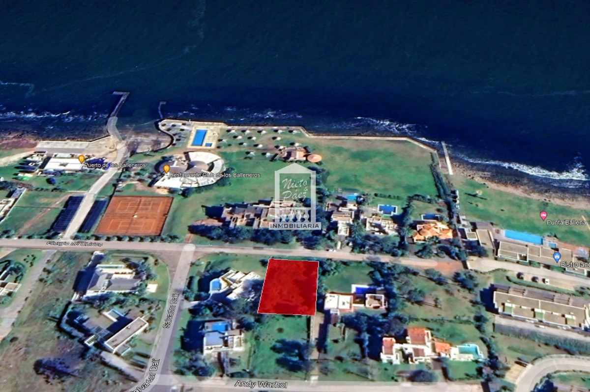 Lomo de la Ballena - GoPunta - Portal Inmobiliario de Punta del Este - Maldonado