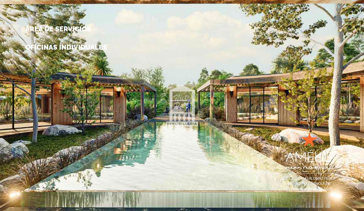 Brava - GoPunta - Portal Inmobiliario de Punta del Este - Maldonado