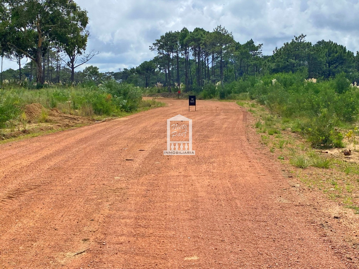 Montoya - GoPunta - Portal Inmobiliario de Punta del Este - Maldonado