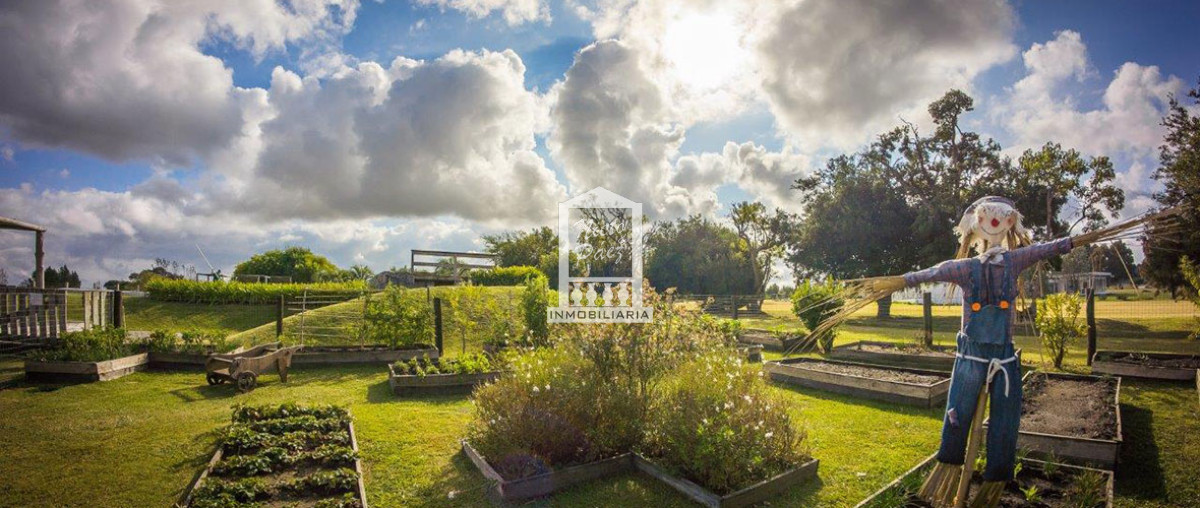 El Quijote - GoPunta - Portal Inmobiliario de Punta del Este - Maldonado