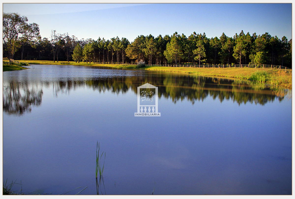 Piedras del Chileno - GoPunta - Portal Inmobiliario de Punta del Este - Maldonado