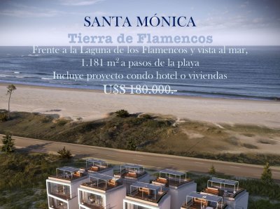 Terreno en Jose Ignacio, Santa Monica