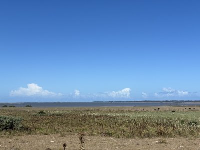 Venta chacra de 30 hectáreas, en José Ignacio con costa de Laguna