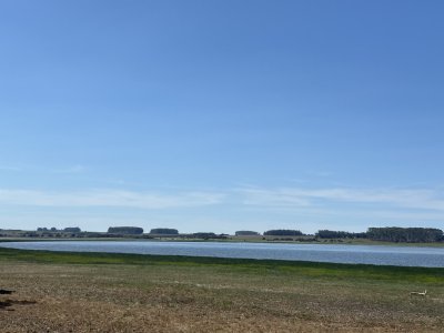 Campo de 42 has. con costa de Laguna Garzón 