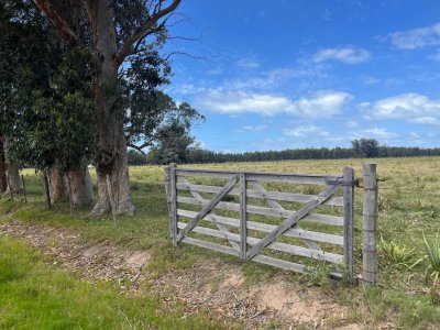 Chacra de 5 has. en venta en Camino Medellin