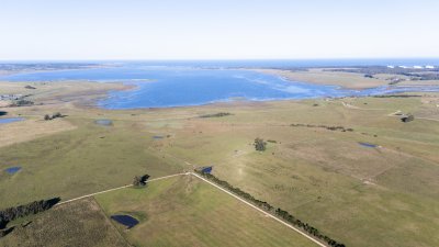 Venta campo de 26 hectáreas, en José Ignacio con vista a la Laguna