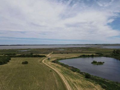 Chacra en venta Jose Ignacio Las Coronillas