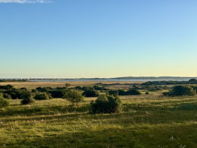 Chacra de 7 has. en Venta en José Ignacio 