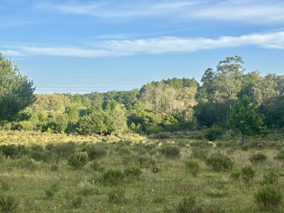 Chacra en venta de 8 has. sobre Ruta 104