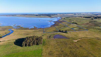 Venta Chacra de 30 has. con Costa de Laguna de Jose Ignacio 