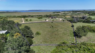 Chacra en venta de 1 ha. en Jose Ignacio, zona Medellin 