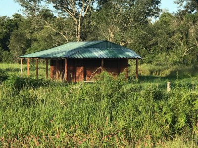 Campo Ganadero - Forestal en venta de 2.000 hectáreas en Formosa 