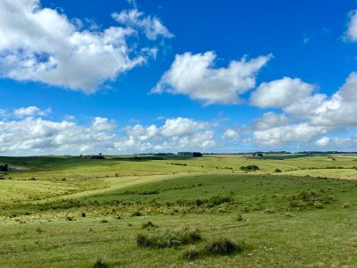 Campo en venta de 40 has. en Camino Sainz Martinez, Grazon 