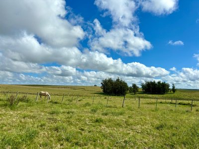 Campo de 65 has. en venta, en Camino Sainz Martinez, Arco del Sol, Garzon 