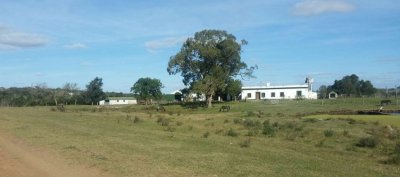 Campo en venta de 2145 has. en Treinta y Tres - Aptitud forestal- ganadero 