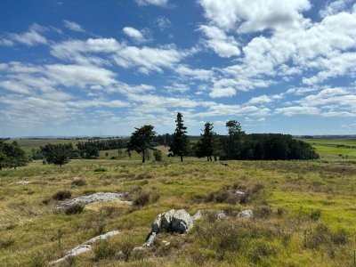Campo parquizado en venta de 102 Hectáreas - próximo a ruta 104 ! 