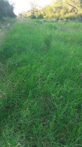 Campo ganadero de 5.250 hectáreas en venta en Formosa