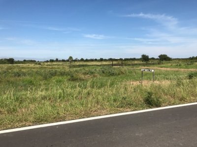 Campo ganadero de 1.055 hectáreas en venta en Formosa 