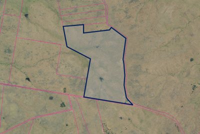 Campo Forestal y ganadero de 181 has. en Paysandú