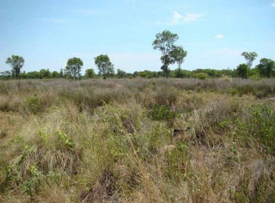 Campo de 1.061 has. en venta en Formosa 