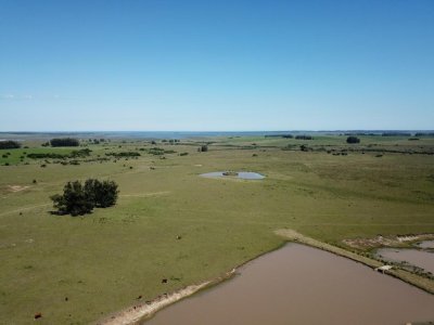 Chacra de 30 has. en venta en José Ignacio - Ruta 9 