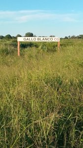Campo Ganadero de 1.400 hectáreas en Formosa, Argentina