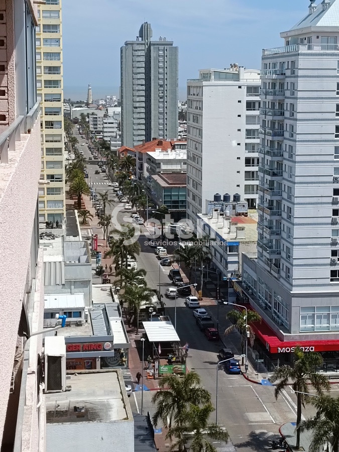 Punta del Este - GoPunta - Portal Inmobiliario de Punta del Este - Maldonado