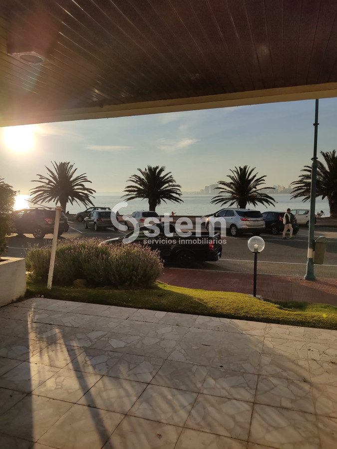 Peninsula - GoPunta - Portal Inmobiliario de Punta del Este - Maldonado