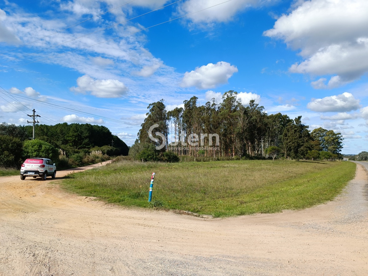 Zona Rural - GoPunta - Portal Inmobiliario de Punta del Este - Maldonado